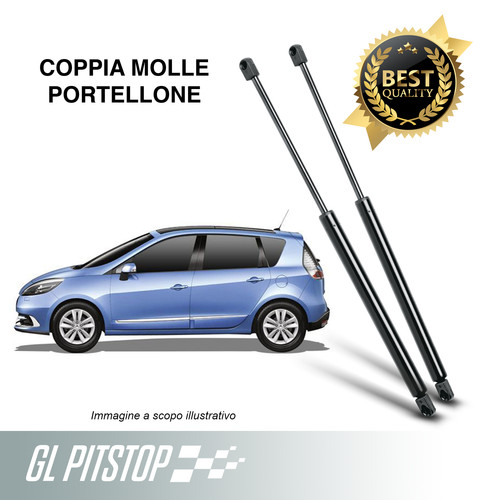 Pistoni portellone coppia - pistoni, portellone,coppia